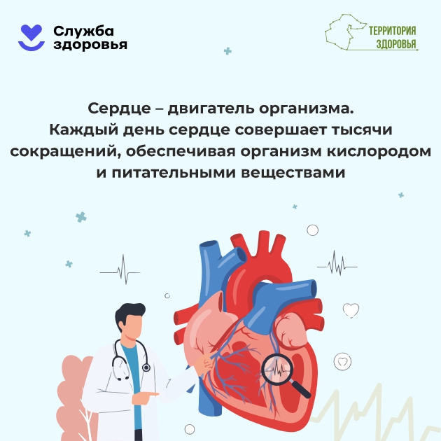 28 сентября - 4 октября. Неделя ответственного отношения к сердцу